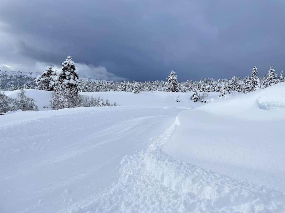 Tonningssaetra 46 Premium Stryn