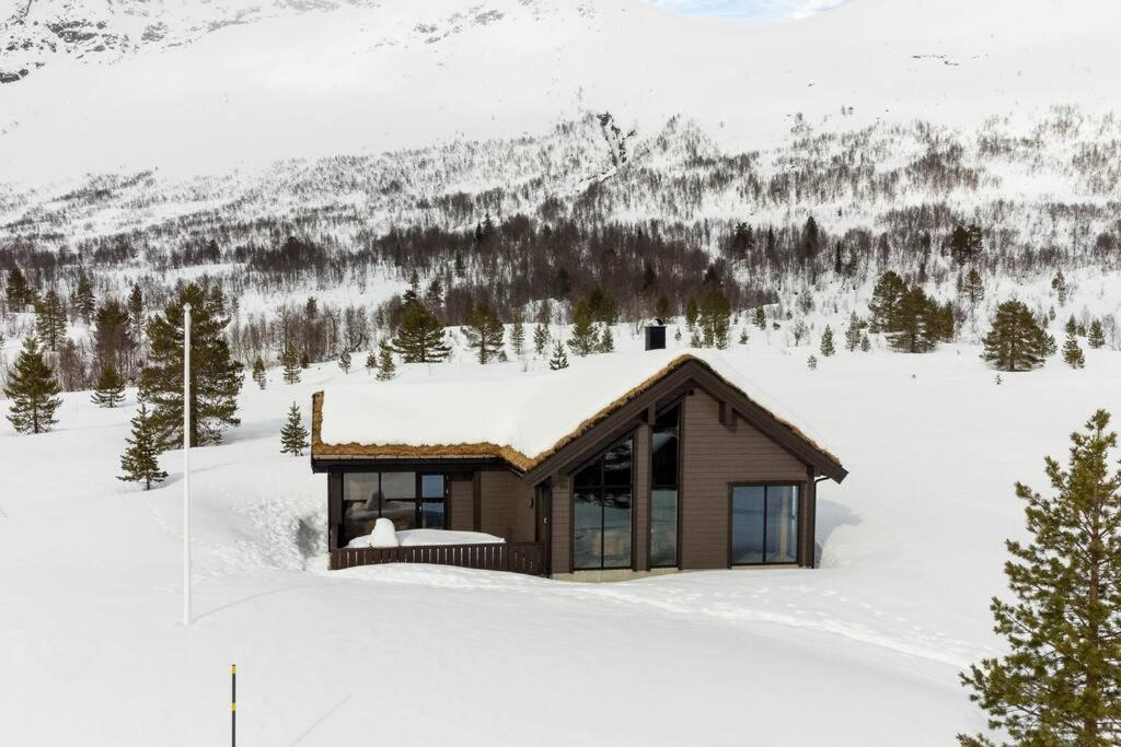 Tonningssaetra 46 Premium Holiday home *